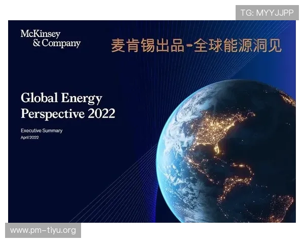 以数据洞察多特蒙德未来发展趋势的深度前瞻分析与策略洞见全景篇