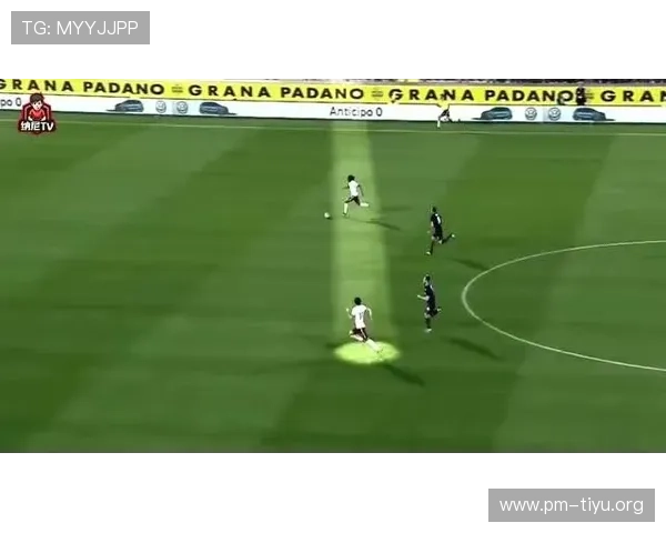 MC体育深度解析:全面盘点赛事资讯与运动员精彩表现